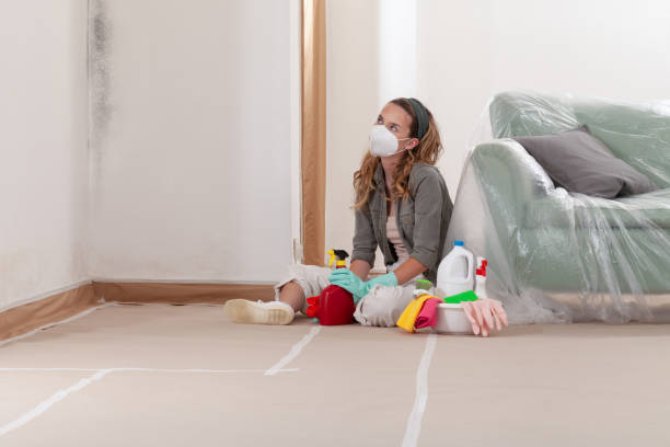 Reliable Mold Cleanup contractor in Williamsport, PA by Cheap Mold Removal